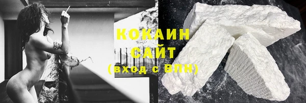 ECSTASY Бородино