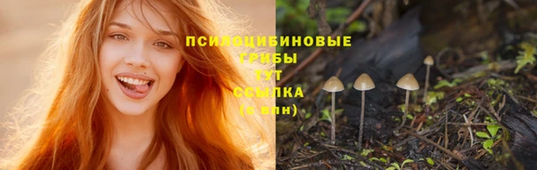 тгк Надым