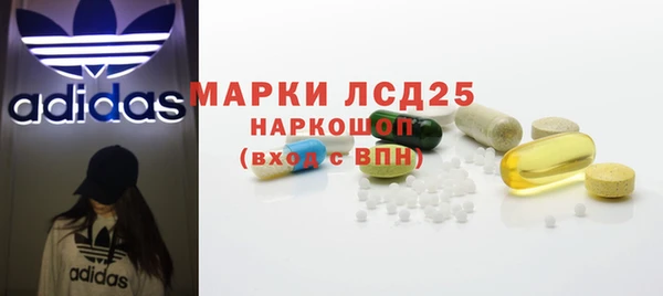 ECSTASY Бородино
