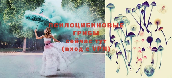 ECSTASY Бородино