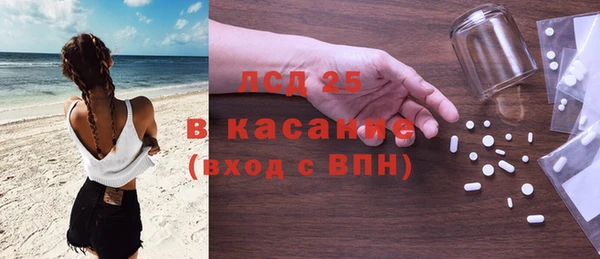 ECSTASY Бородино